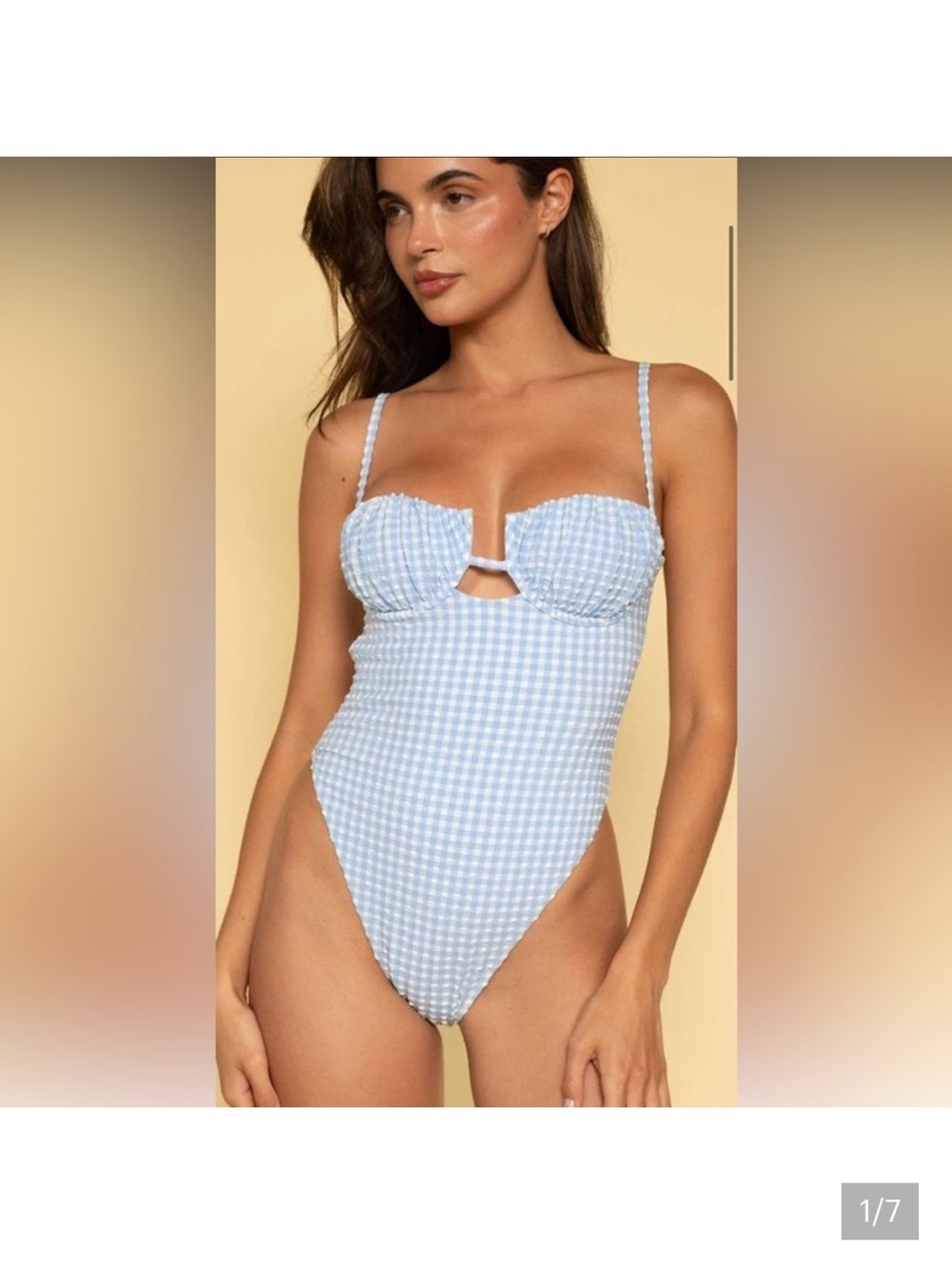 Montce Light Blue Gingham One-Piece Swimsuit never worn
